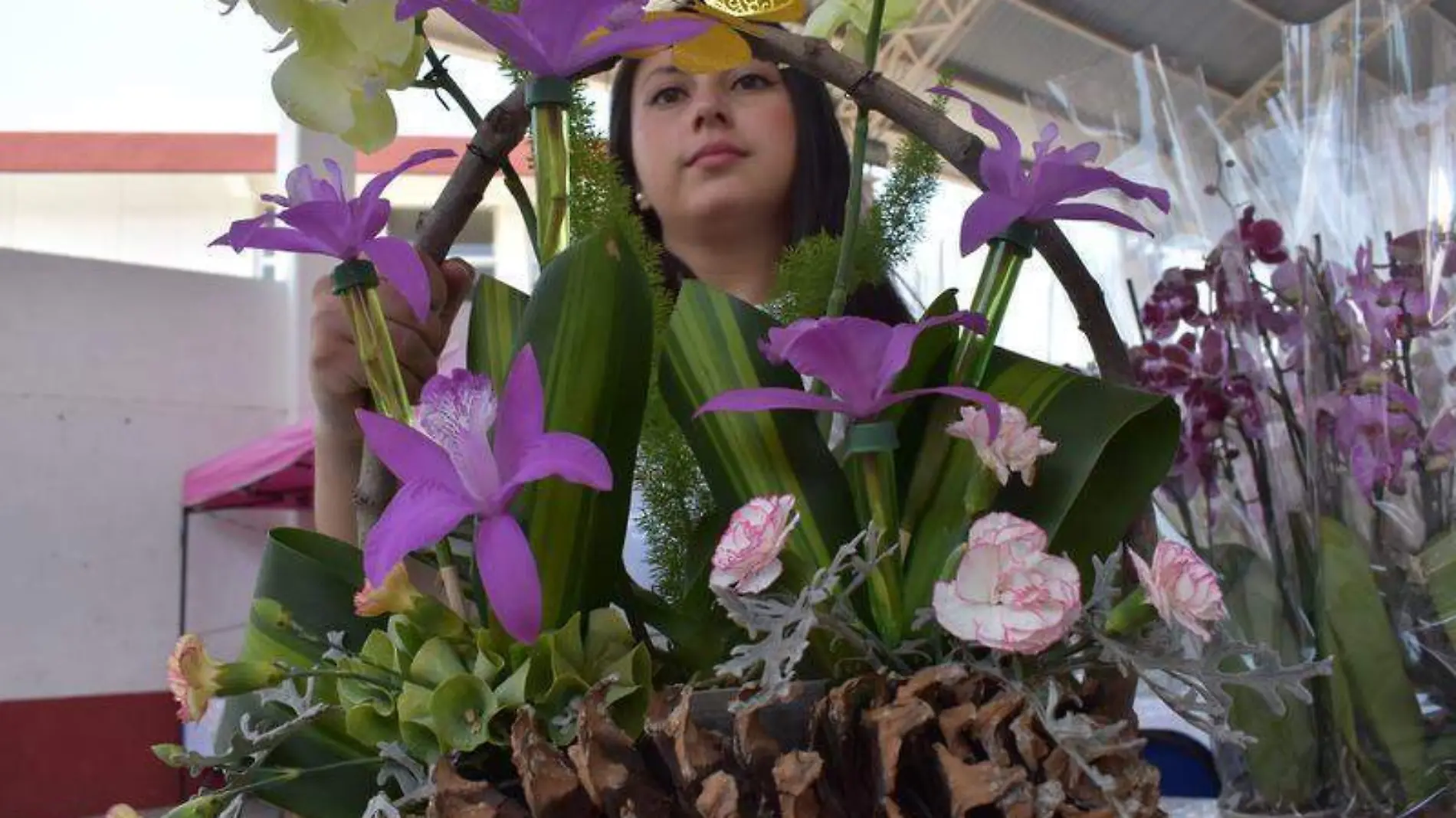 Orquídeas (2)